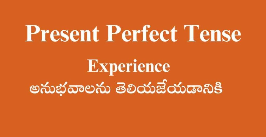 Experience